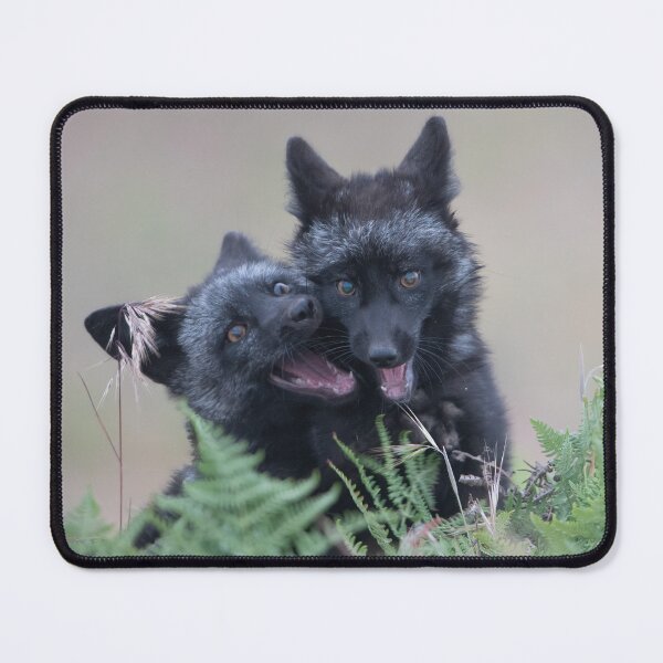 Item preview, Playful Red Fox Kits designed and sold by wildlifist.