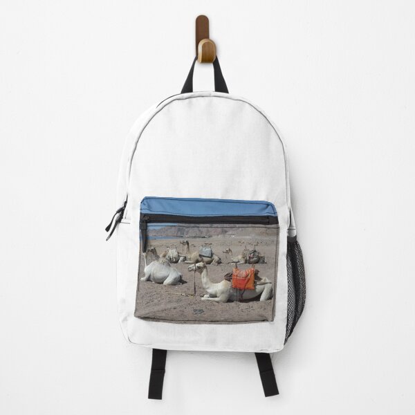 Item preview, Five camels are sitting opposite the Red Sea designed and sold by Osama-Hamdi.