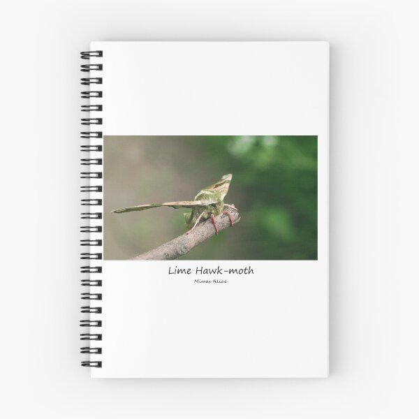 Item preview, Lime Hawk-moth designed and sold by SteveEvansArt.