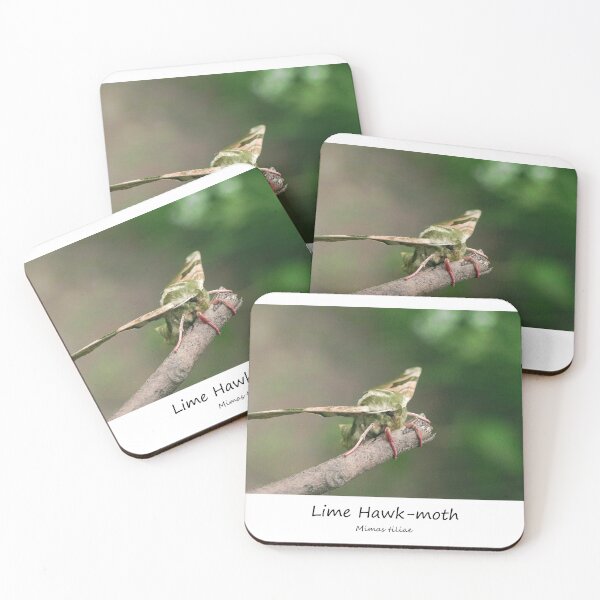 Item preview, Lime Hawk-moth designed and sold by SteveEvansArt.