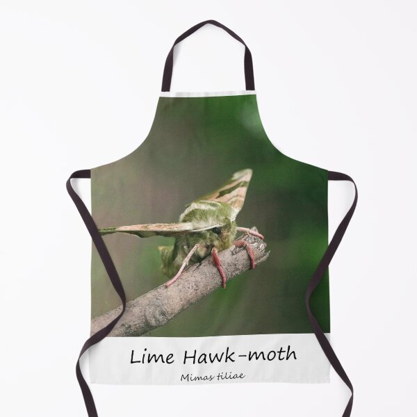 Item preview, Lime Hawk-moth designed and sold by SteveEvansArt.