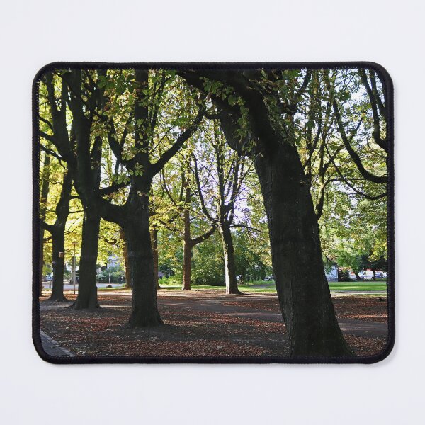 Item preview, Tranquil Park - Maastricht, Netherlands designed and sold by Photographic Memories.