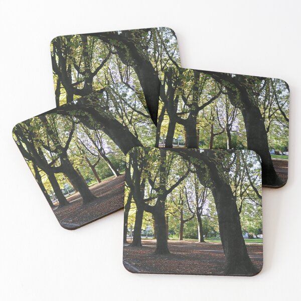 Item preview, Tranquil Park - Maastricht, Netherlands designed and sold by Photographic Memories.