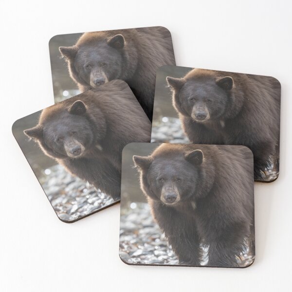 Item preview, Black Bear at the creek  designed and sold by wildlifist.