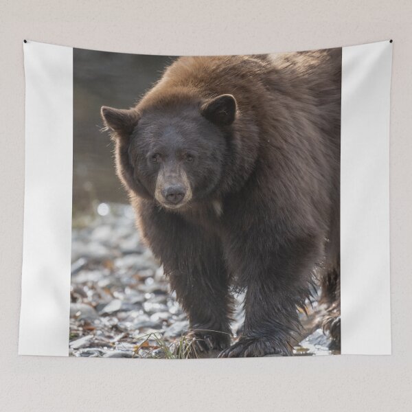 Item preview, Black Bear at the creek  designed and sold by wildlifist.