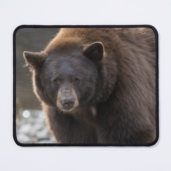 Item preview, Black Bear at the creek designed and sold by wildlifist.