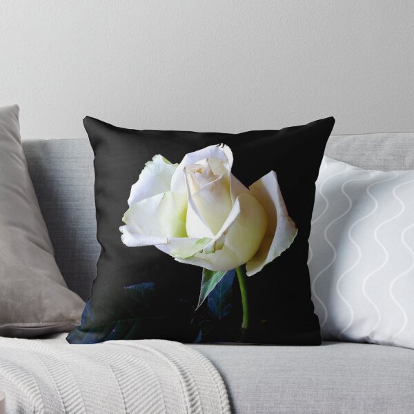 Aperçu de l'œuvre Floraison de rose blanche créée et vendue par SabinasDesigns.