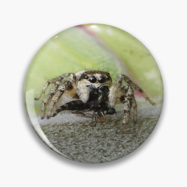 Item preview, Zebra Jumping Spider designed and sold by SteveEvansArt.