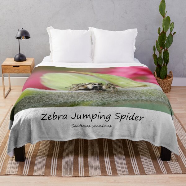 Item preview, Zebra Jumping Spider designed and sold by SteveEvansArt.
