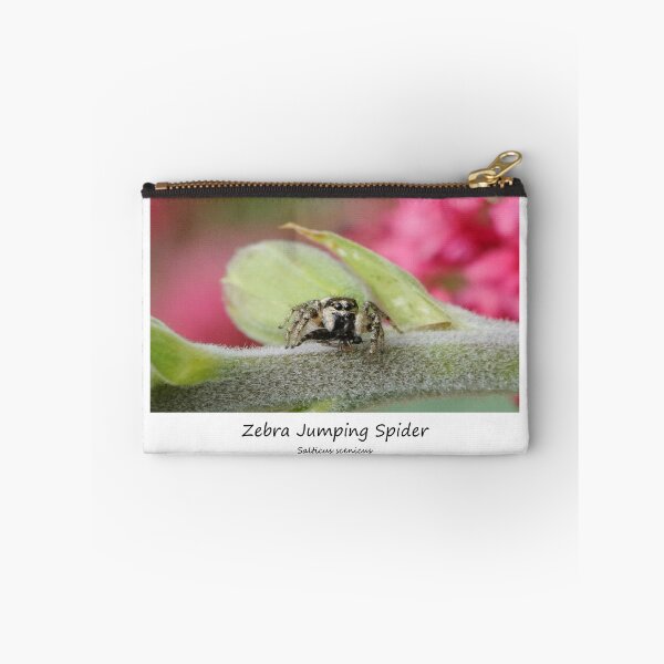 Item preview, Zebra Jumping Spider designed and sold by SteveEvansArt.