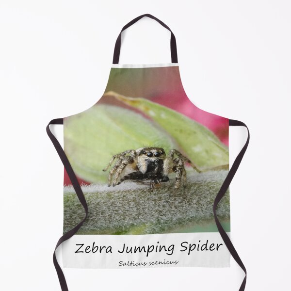 Item preview, Zebra Jumping Spider designed and sold by SteveEvansArt.