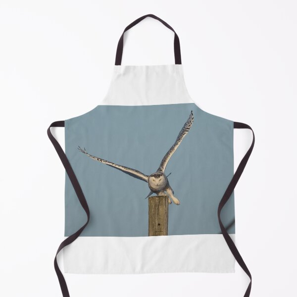 Item preview, Concentration designed and sold by wildlifist.