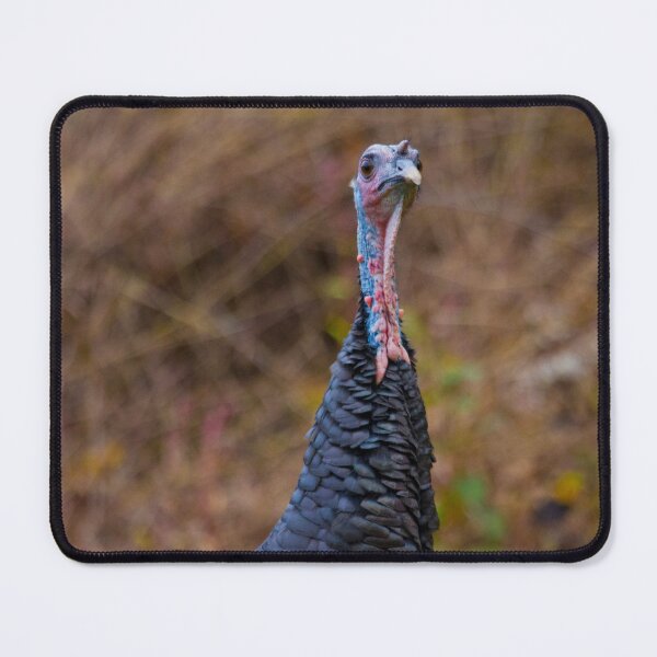Item preview, WILD TURKEY NASHVILLE TN  designed and sold by DriveModern.
