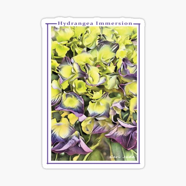 Item preview, Hydrangea Immersion designed and sold by GeriJudd.