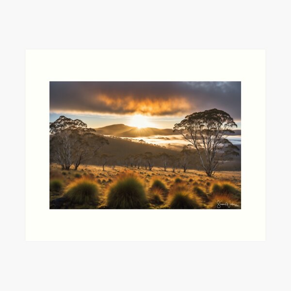 Item preview, Tasmanian Country designed and sold by ShaneWalkerArt.
