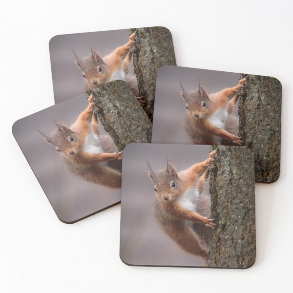 Item preview, Cute Red Squirrel designed and sold by N-JPhotography.