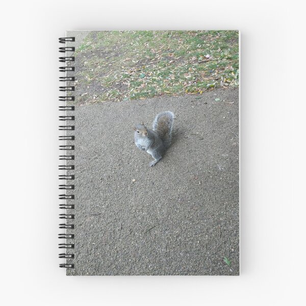 Item preview, #316 |☼| Squirrel Stare (Jephson Gardens) designed and sold by Naean H.F. (Nez Man).