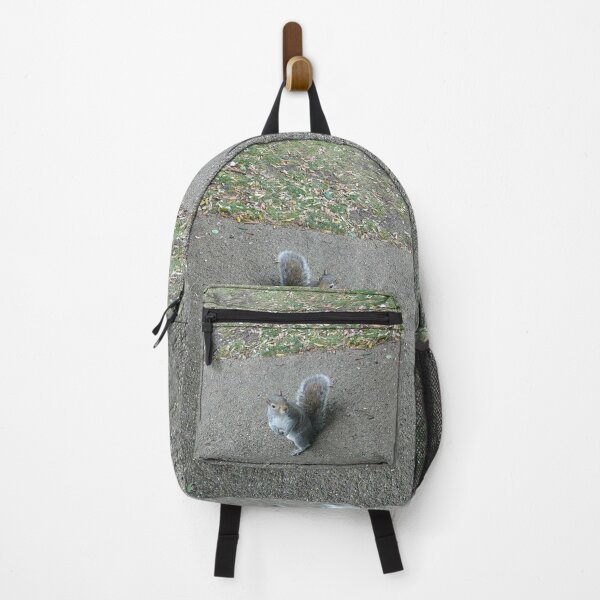 Item preview, #316 |☼| Squirrel Stare (Jephson Gardens) designed and sold by Naean H.F. (Nez Man).