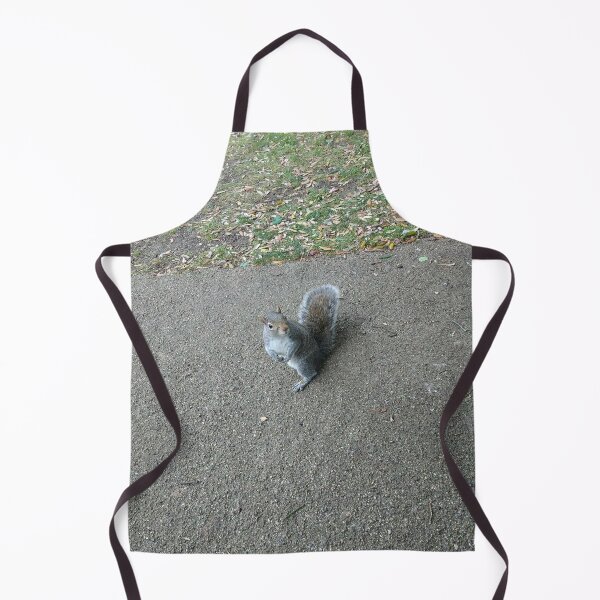 Item preview, #316 |☼| Squirrel Stare (Jephson Gardens) designed and sold by Naean H.F. (Nez Man).