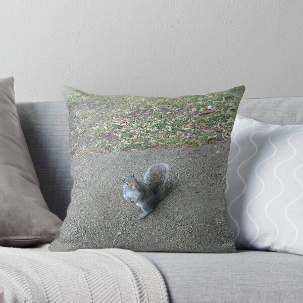 Item preview, #316 |☼| Squirrel Stare (Jephson Gardens) designed and sold by Naean H.F. (Nez Man).