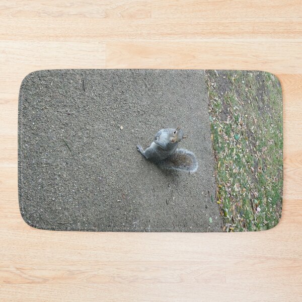 Item preview, #316 |☼| Squirrel Stare (Jephson Gardens) designed and sold by Naean H.F. (Nez Man).