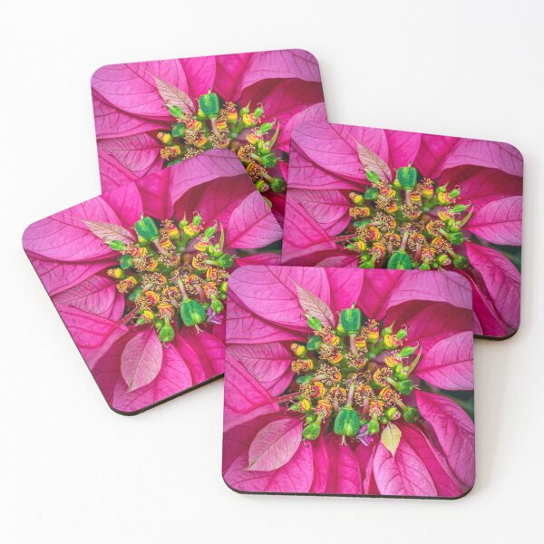 Item preview, Pink Pointsettia designed and sold by Floraphernalia.