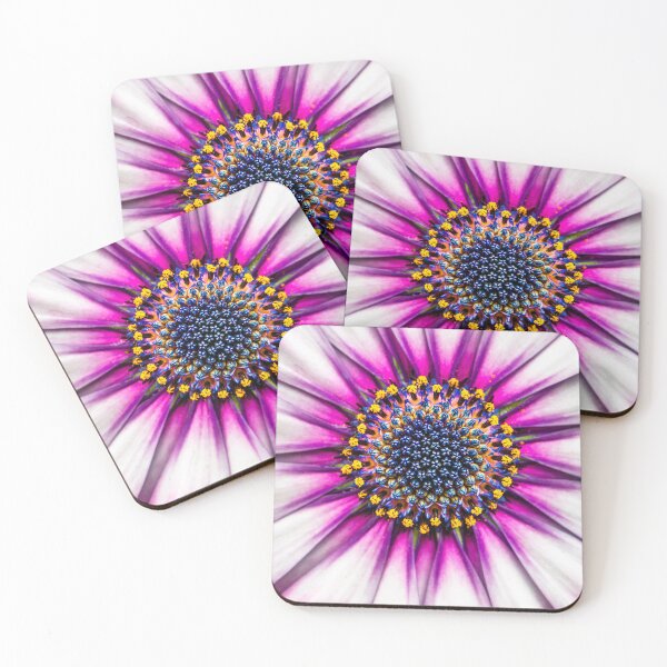 Item preview, Osteospermum designed and sold by Floraphernalia.