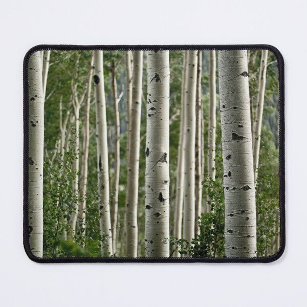 Item preview, Aspen Trees in Aspen Colorado designed and sold by DriveModern.
