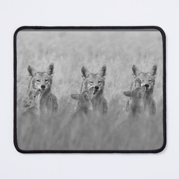 Item preview, The Challenges of Parenting.  Coyote and pup. designed and sold by wildlifist.