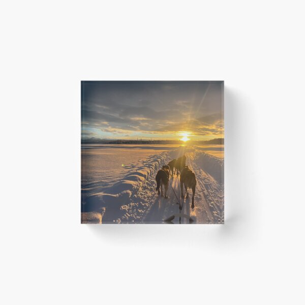 Item preview, Mushing into the Sun designed and sold by funontherun.
