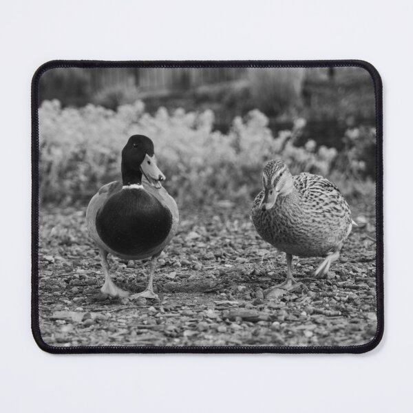 Item preview, Ducks designed and sold by NW-And-Beyond.
