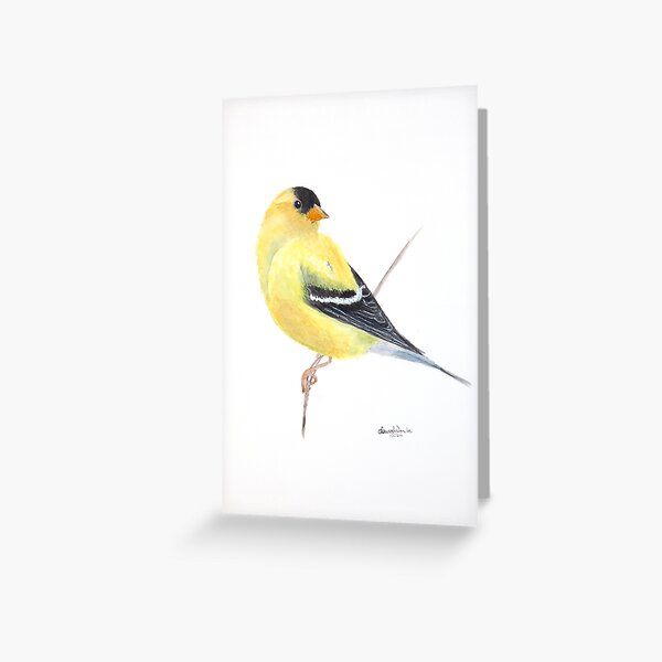 Item preview, Watercolor American Goldfinch designed and sold by LauraJenette.