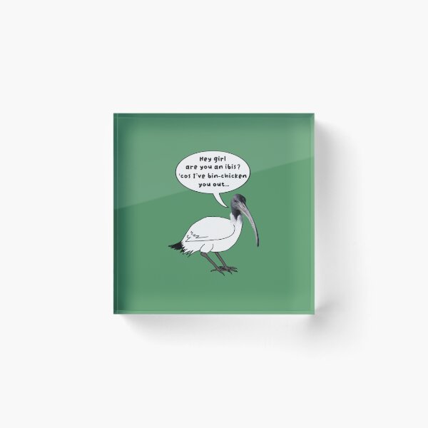 Item preview, Hey girl are you an ibis ? ‘Cos I’ve bin-chicken you out.. designed and sold by Rob Price.