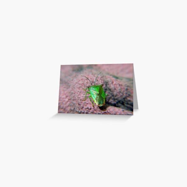 Urban-Warrior Greeting Card