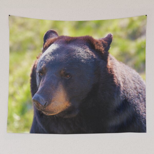 Item preview, Black Bear Face  designed and sold by TheAnimalZ00.