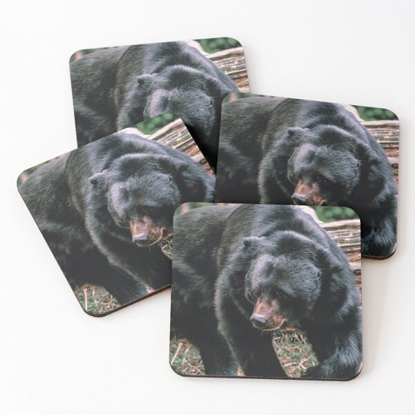 Item preview, Black Bear Photo designed and sold by TheAnimalZ00.