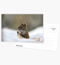 Fast Food Postcards
