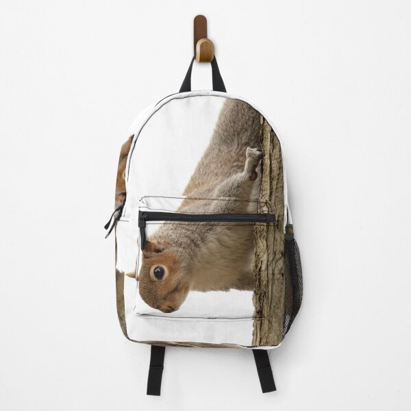 Item preview, Seattle Squirrel 2 designed and sold by Tara Smithson.