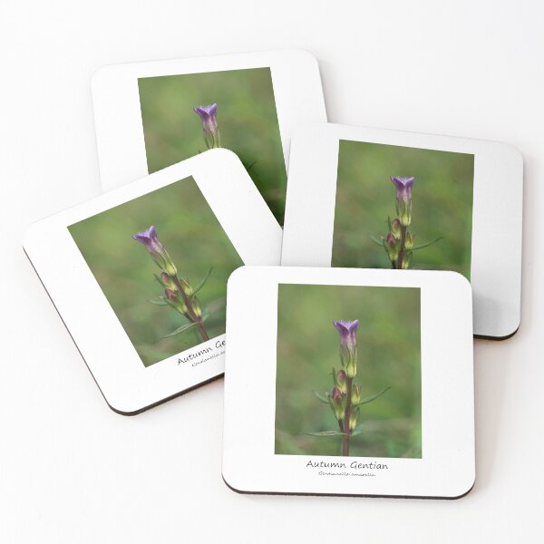 Item preview, Autumn Gentian designed and sold by SteveEvansArt.