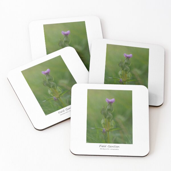 Item preview, Field Gentian designed and sold by SteveEvansArt.