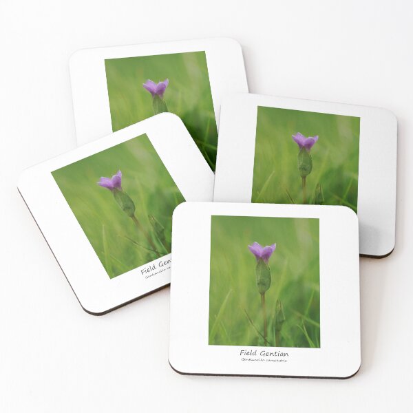 Item preview, Field Gentian designed and sold by SteveEvansArt.