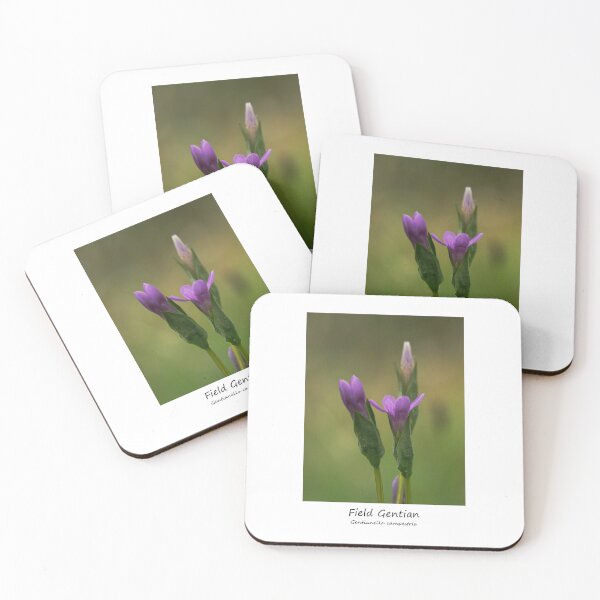 Item preview, Field Gentian designed and sold by SteveEvansArt.