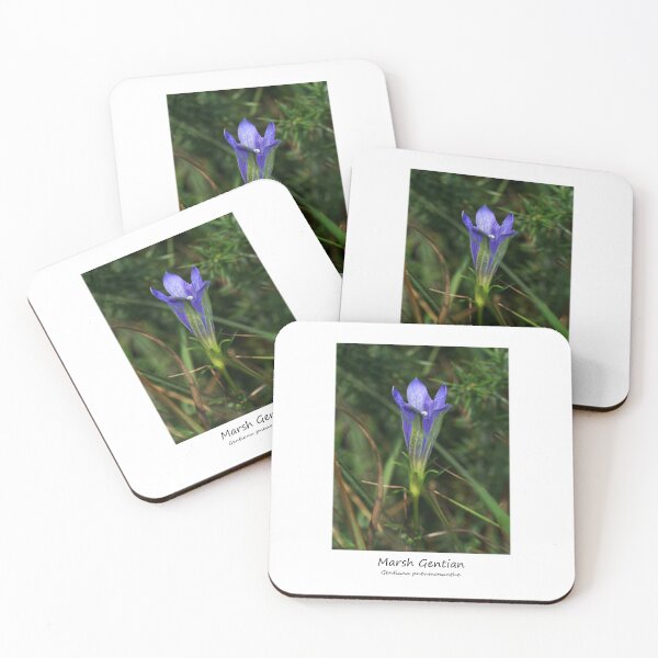 Item preview, Marsh Gentian designed and sold by SteveEvansArt.