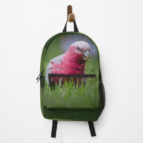 Item preview, Galah at dusk - Bird designed and sold by Tara Smithson.