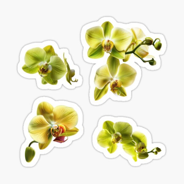 Item preview, Flowers Orchids Pattern - Phalaenopsis designed and sold by FlowersColorful.