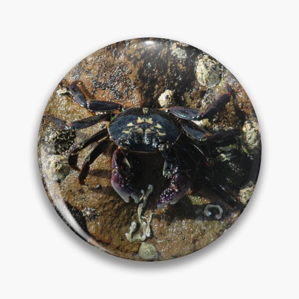 Item preview, Crab, Bermagui, Australia 20150303 designed and sold by muz2142.