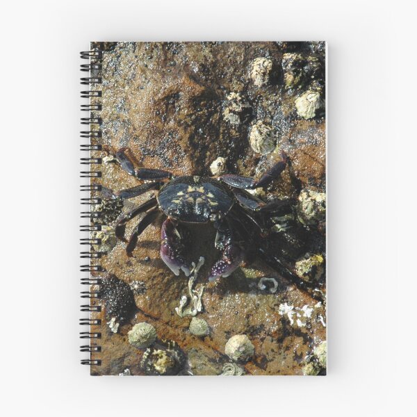Item preview, Crab, Bermagui, Australia 20150303 designed and sold by muz2142.