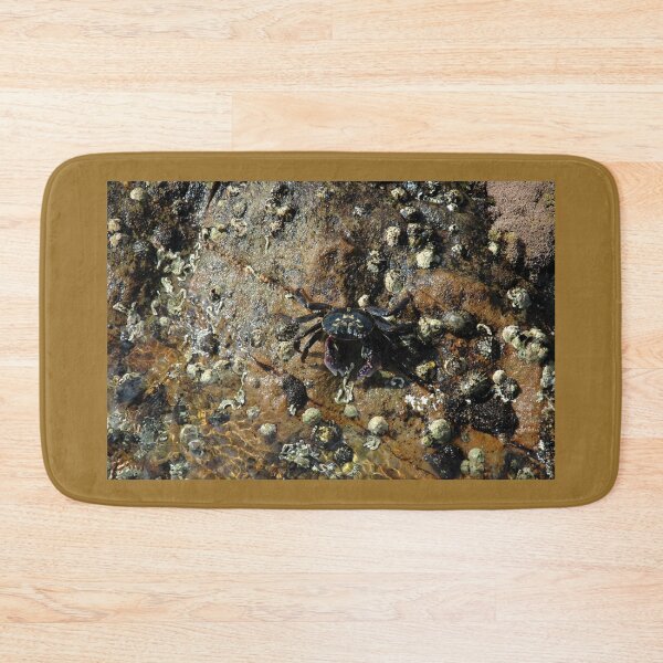 Item preview, Crab, Bermagui, Australia 20150303 designed and sold by muz2142.
