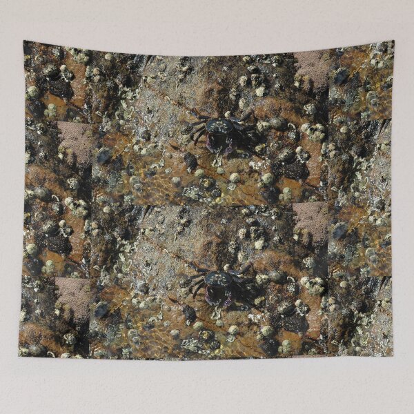 Item preview, Crab, Bermagui, Australia 20150303 designed and sold by muz2142.