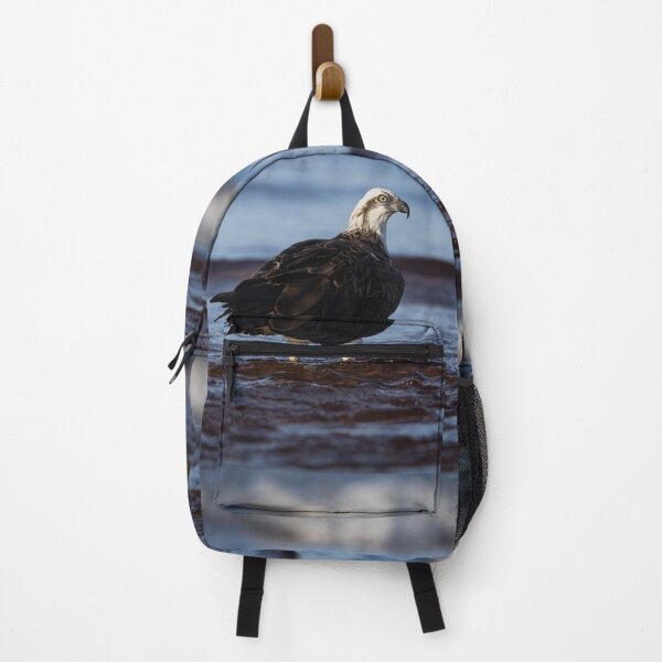 Item preview, Osprey enjoying a dip in the ocean - bird designed and sold by Tara Smithson.